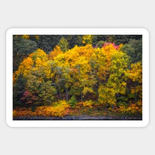 Fall Color along the  Delaware River Sticker